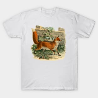 fox T-Shirt